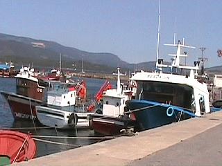 Rianxo harbour