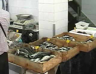 Fish market